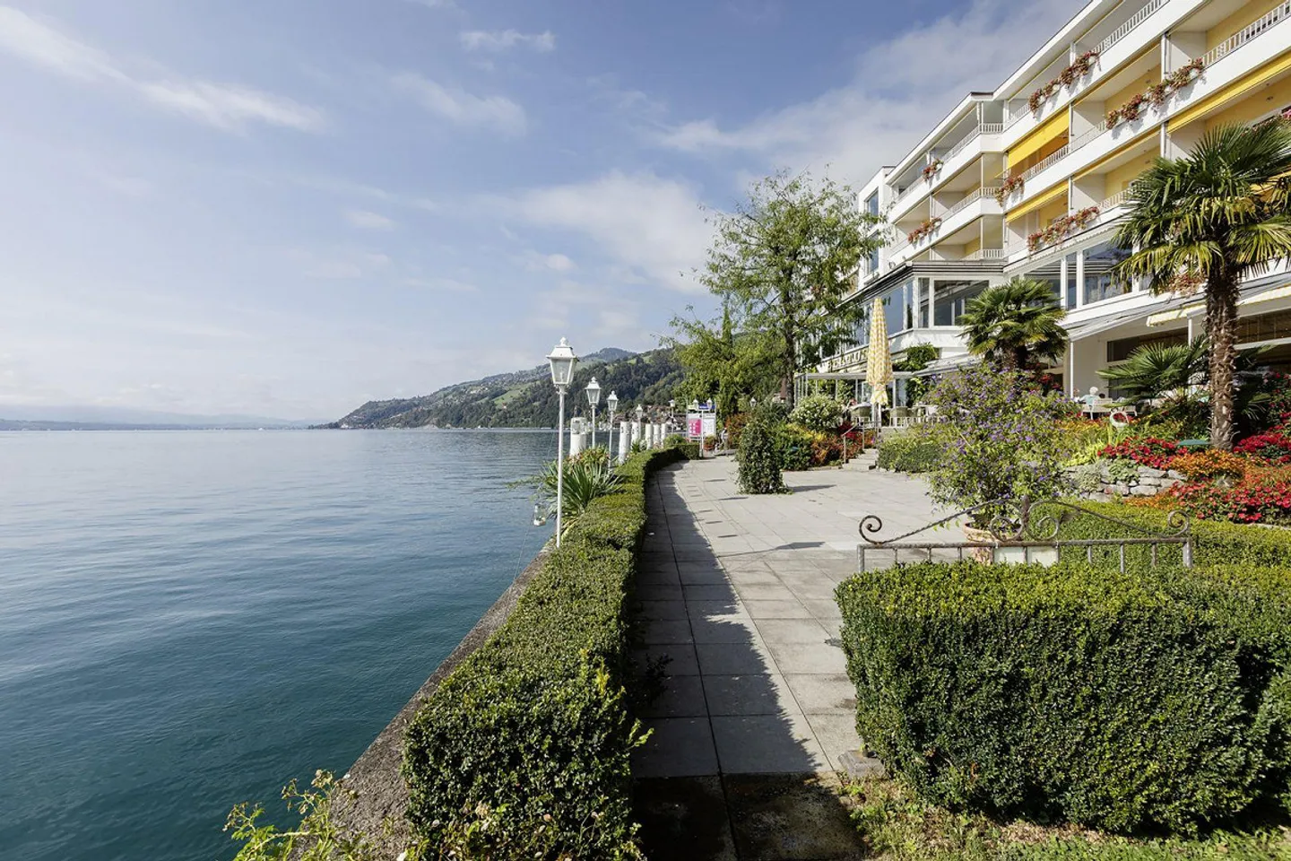 Terreno edificabile per il proprio progetto residenziale - Foto 11 di 13