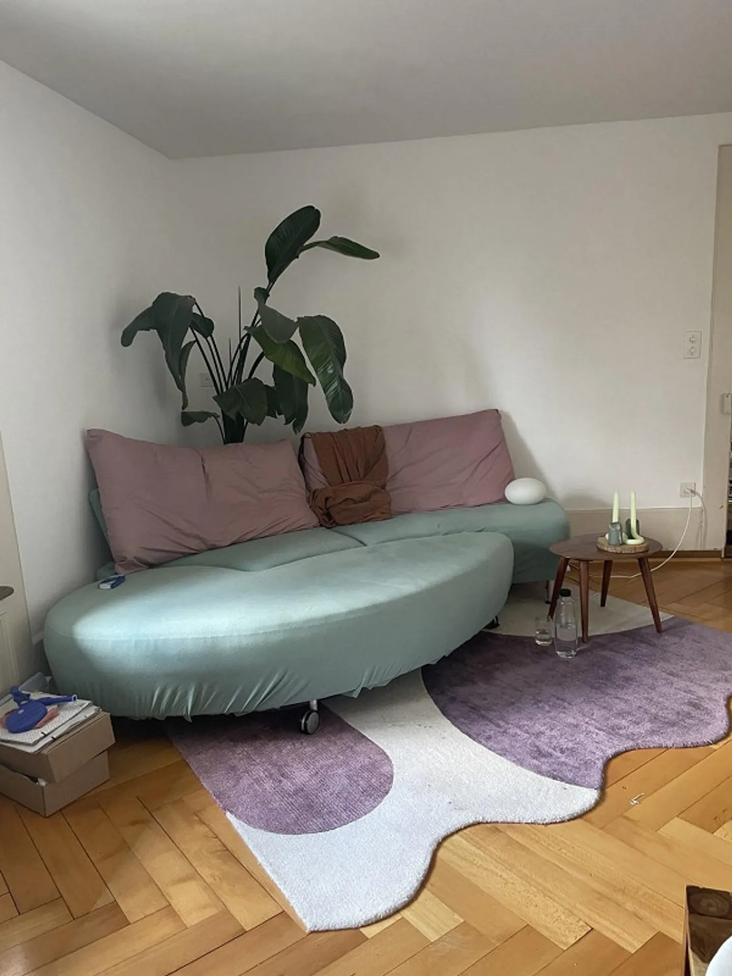 una coinquilina a Friburgo - Foto 5 di 8