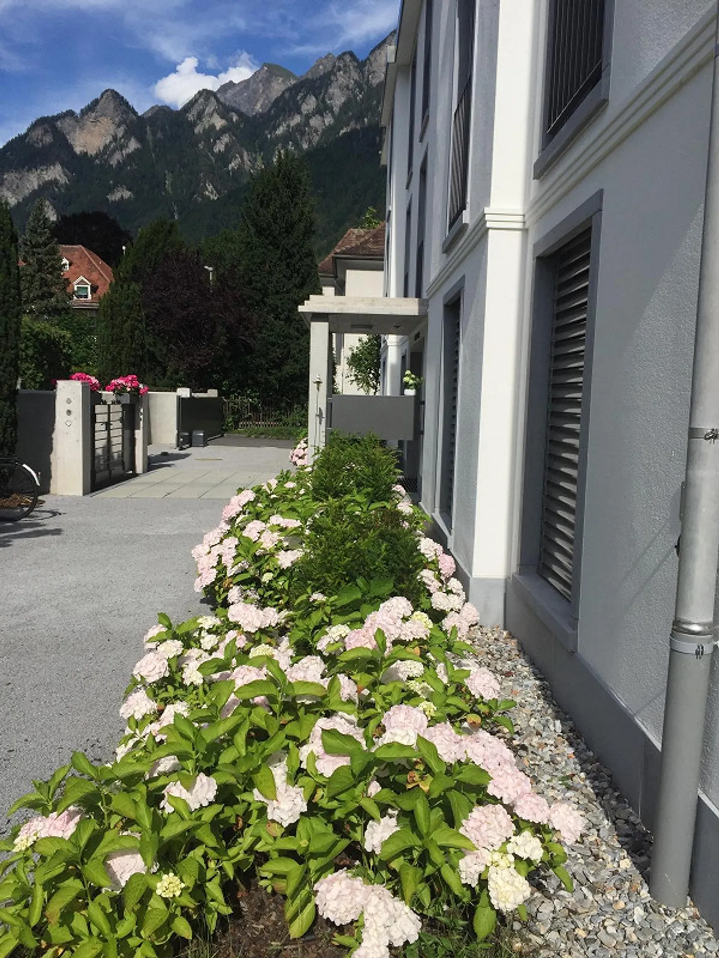 Subtenant for central sunny 2.5 room apartment in Chur - Photo 4 of 14