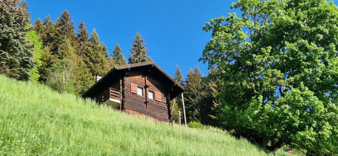 Chalet 3,5 Zimmer - Foto 14 von 21