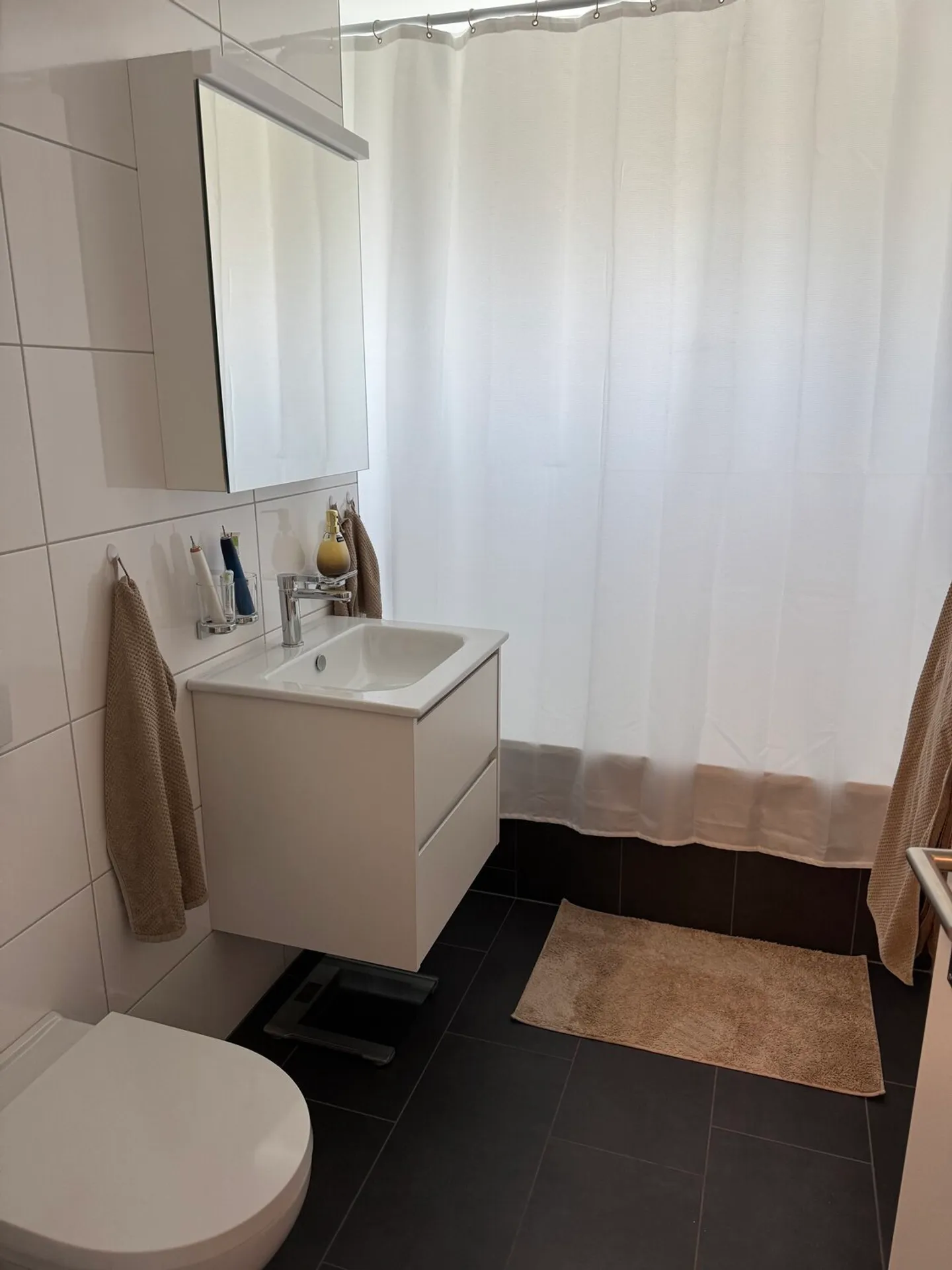 APPARTAMENTO 3½ LOCALI A BERN - BÜMPLIZ, ARREDATO, TEMPORANEO - Foto 9 di 10