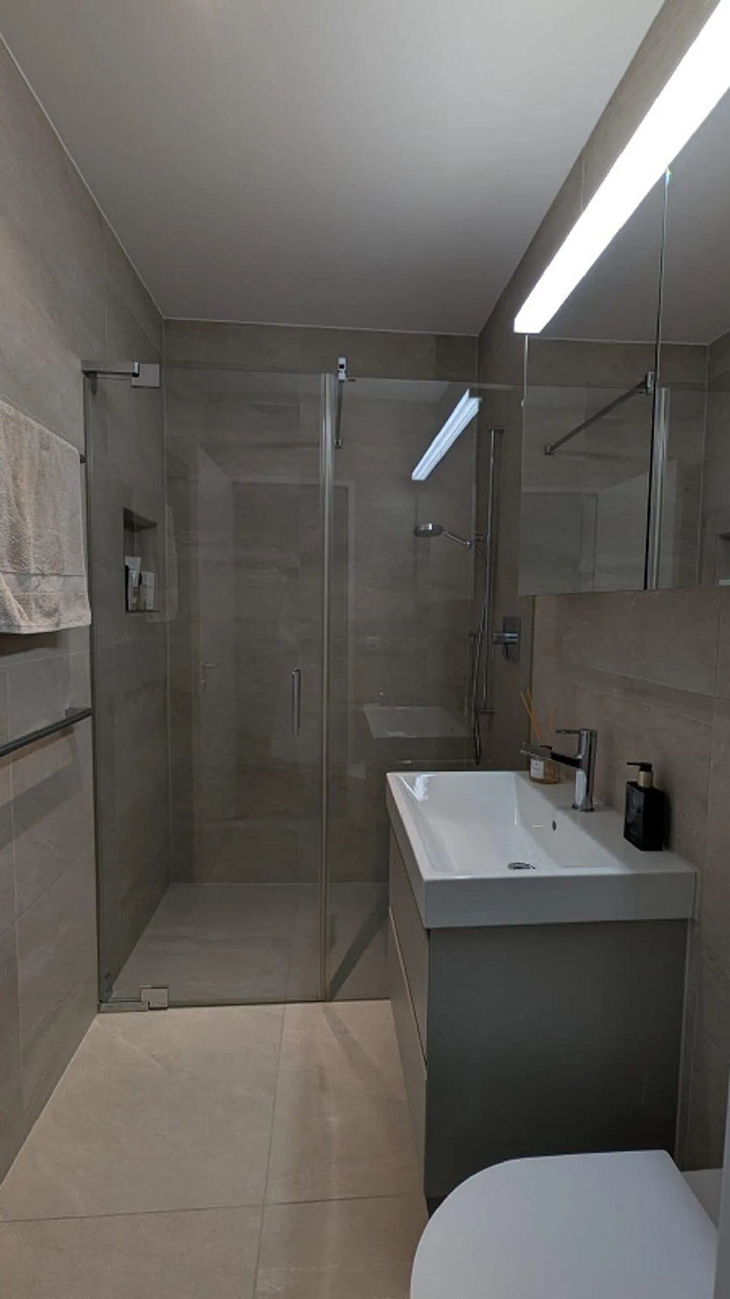 Exclusive Apartment - up to 5m Ceiling Height - View of the Lägern - Photo 6 of 17