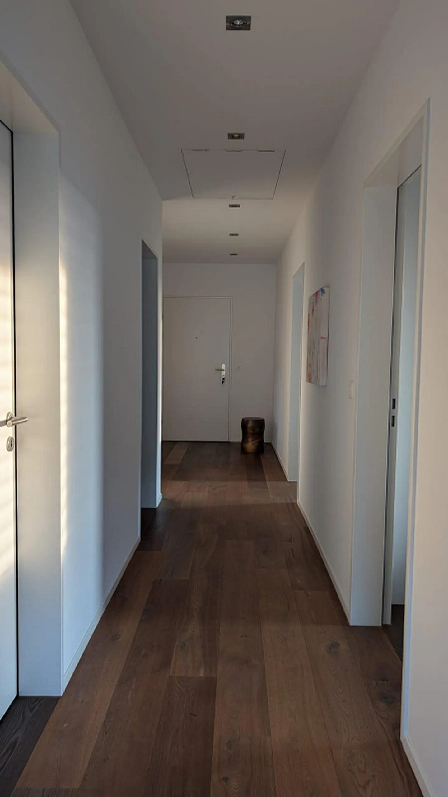 Exclusive Apartment - up to 5m Ceiling Height - View of the Lägern - Photo 11 of 17