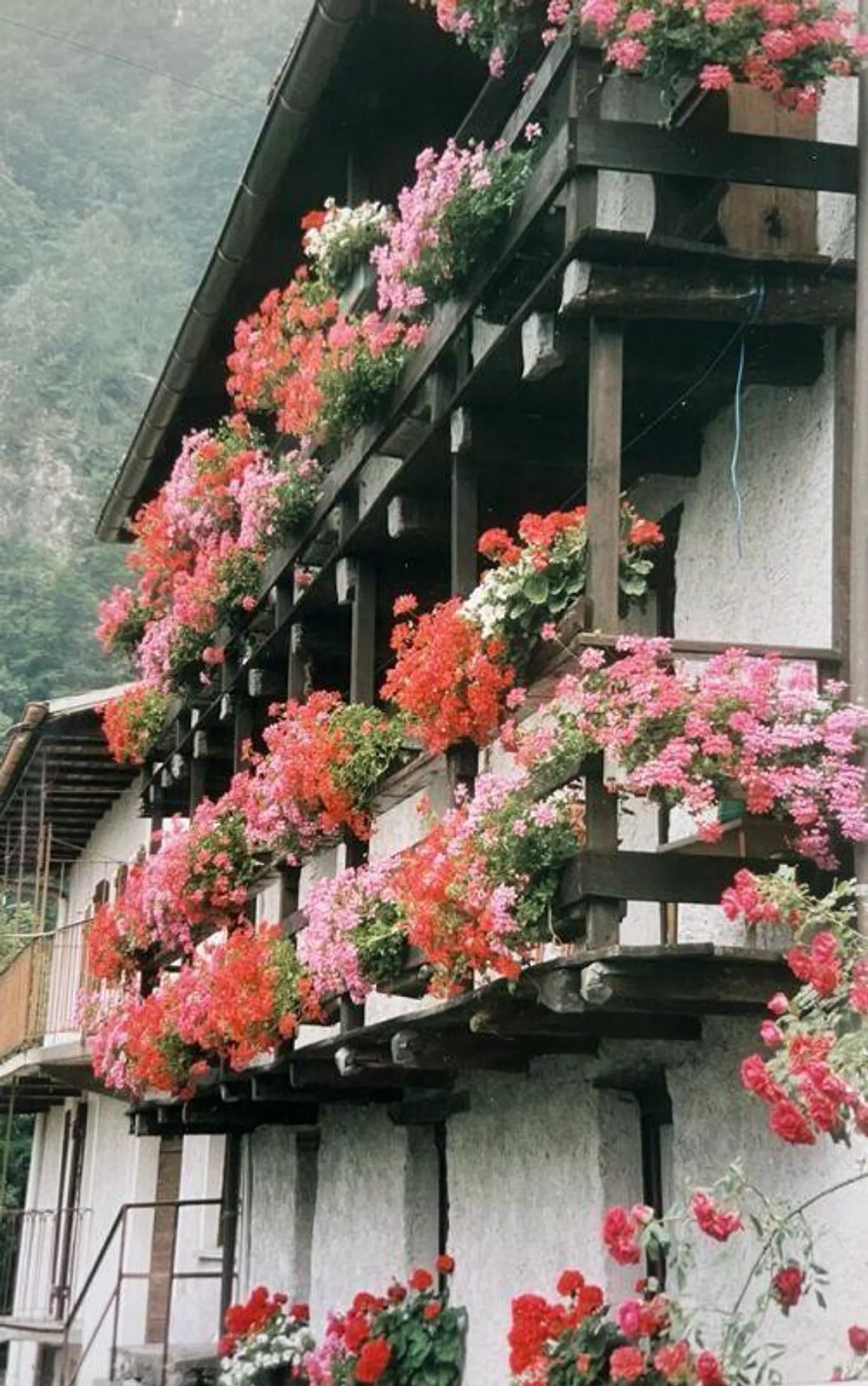 Appartamento rinnovato con terrazza - Foto 1 di 5