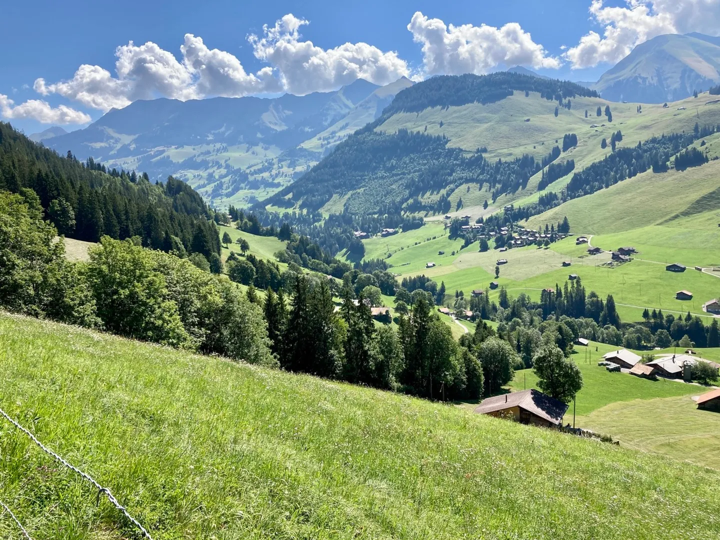 Appartement luxueux de 2,5 pièces au Wiriehorn - Photo 18 sur 19