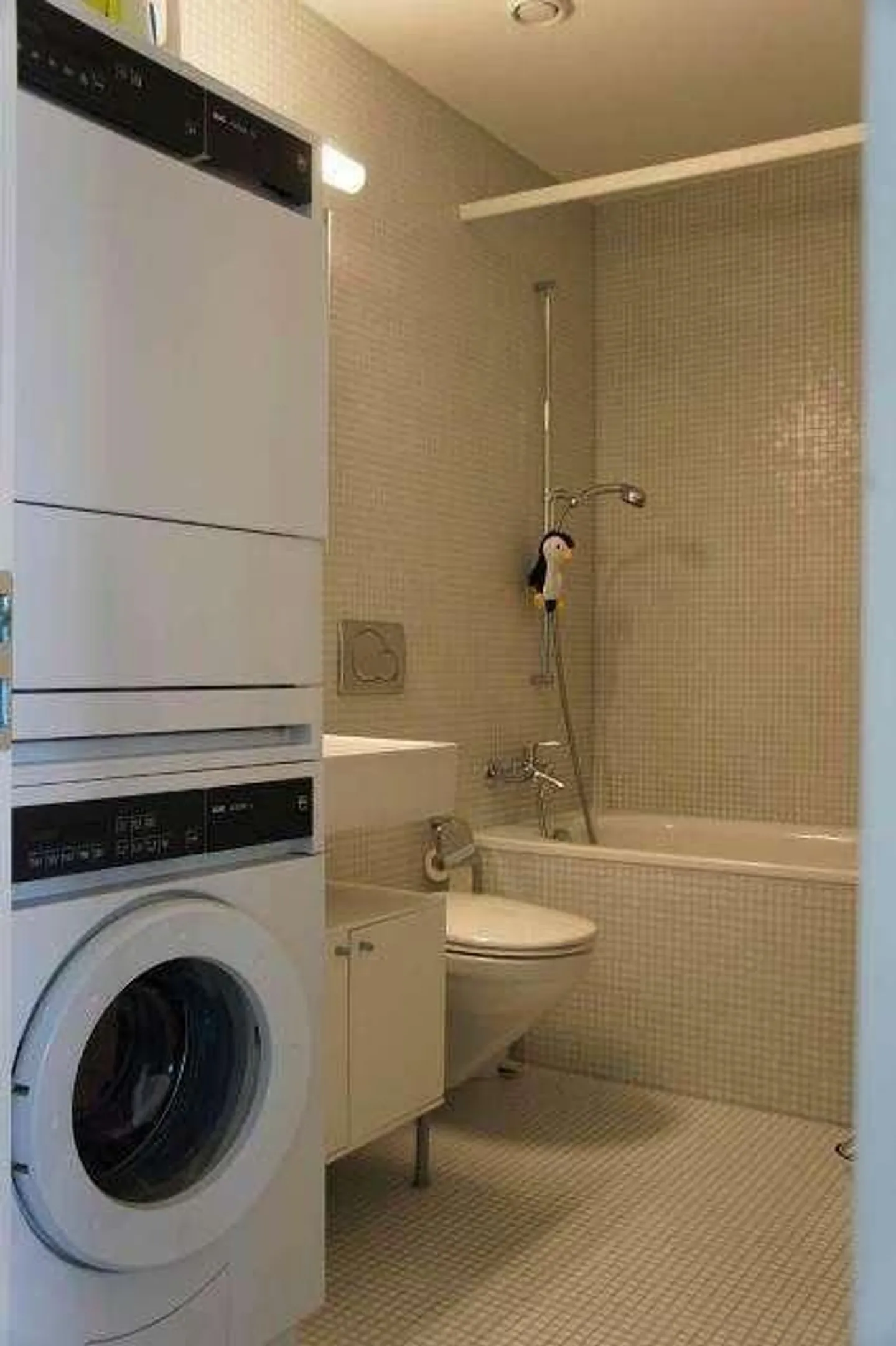 Bell'appartamento cerca inquilino! - Foto 3 di 7