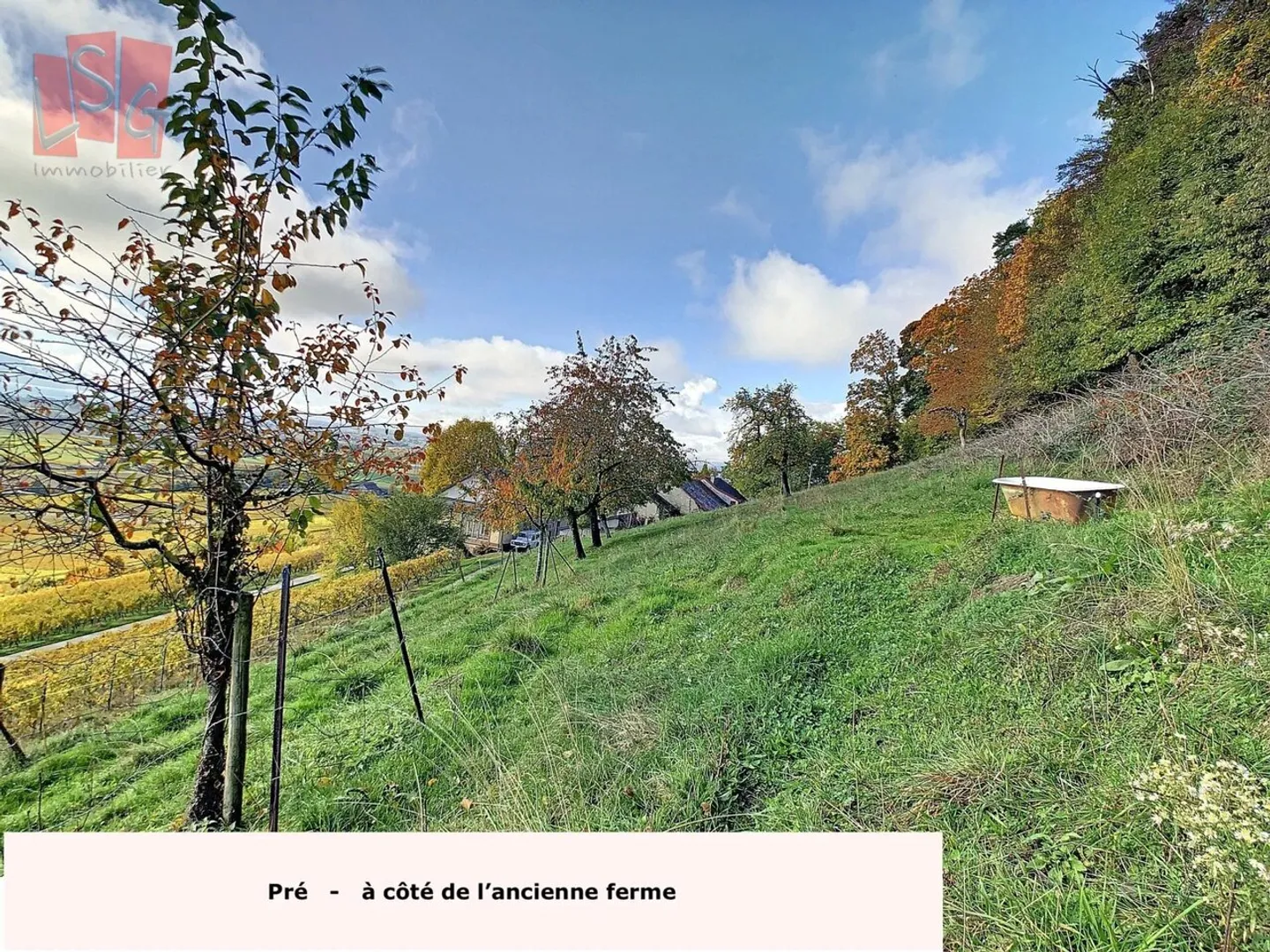 Domaine Viticole avec Vue Imprenable - Photo 4 sur 9