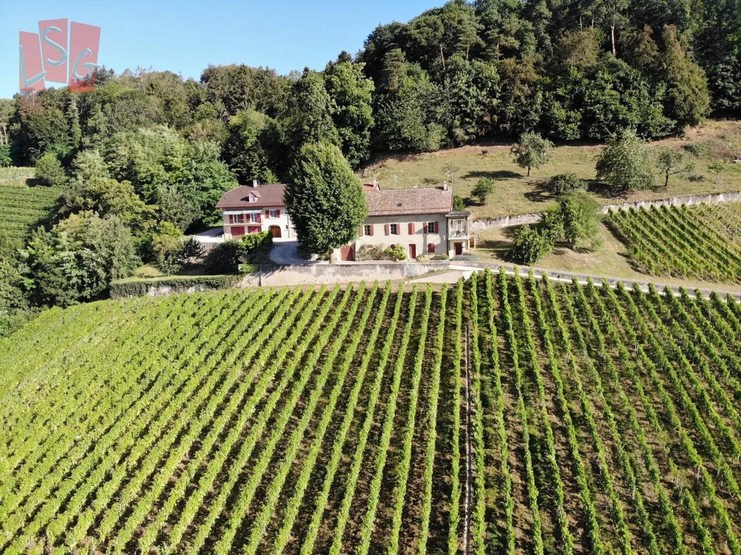 Domaine Viticole avec Vue Imprenable - Photo 1 sur 9