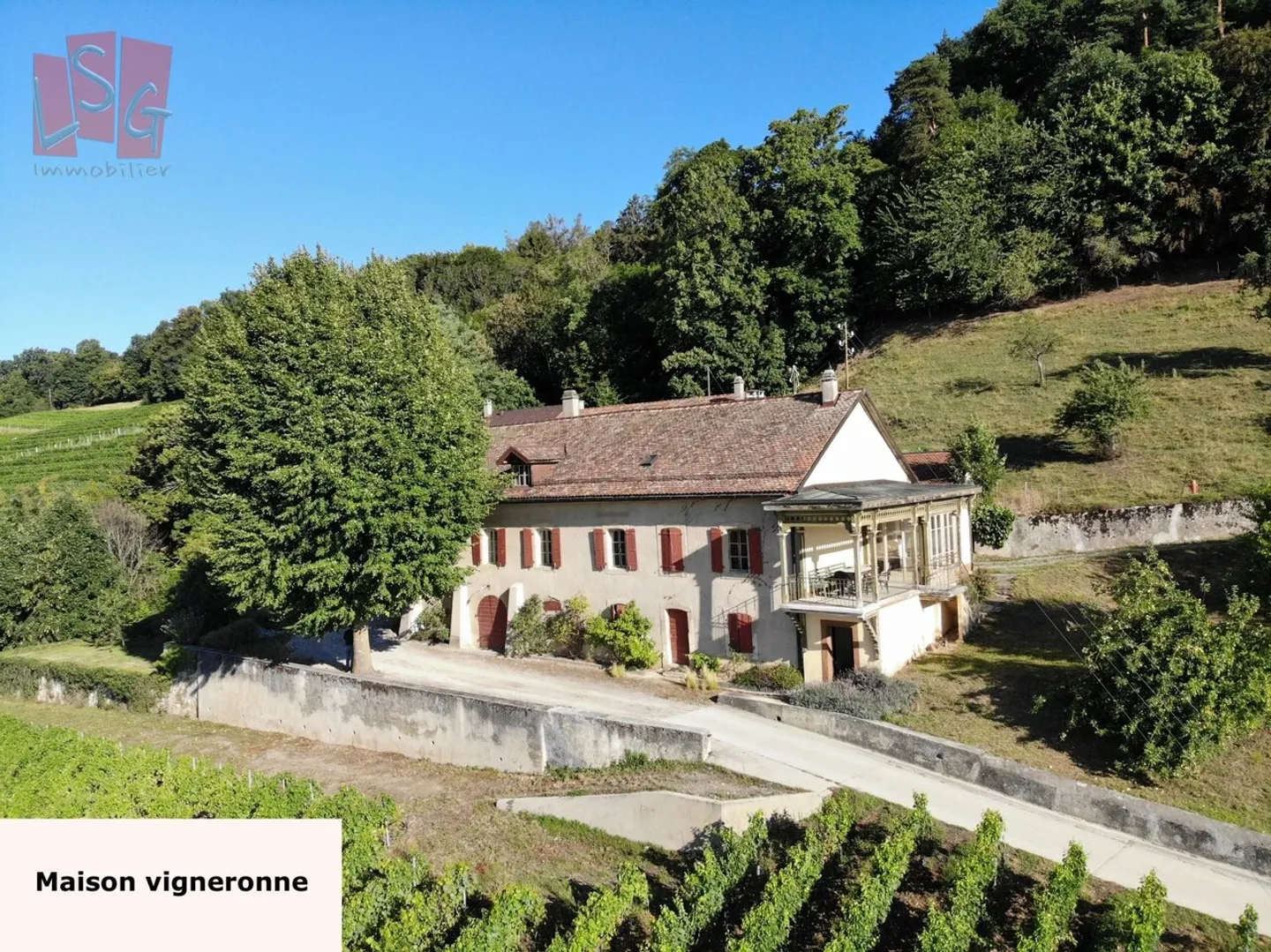 Domaine Viticole avec Vue Imprenable - Photo 8 sur 9