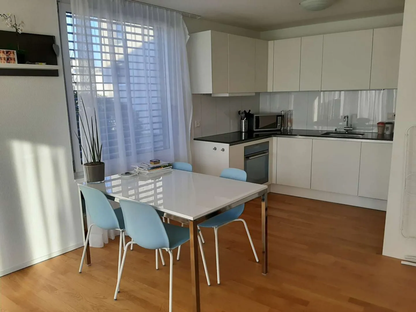 Cozy single apartment - sunny and near the lake - Photo 3 of 8