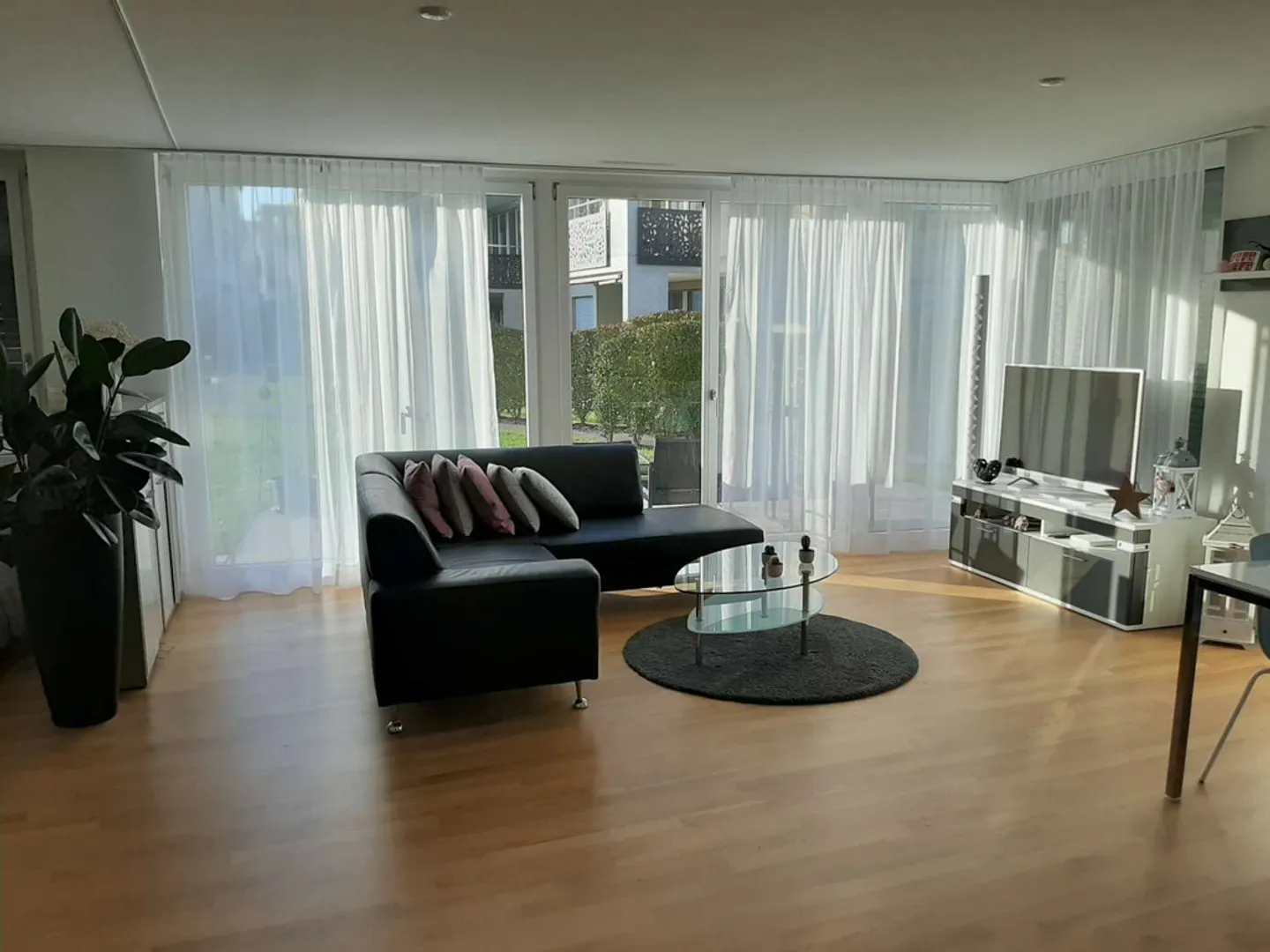 Cozy single apartment - sunny and near the lake - Photo 4 of 8
