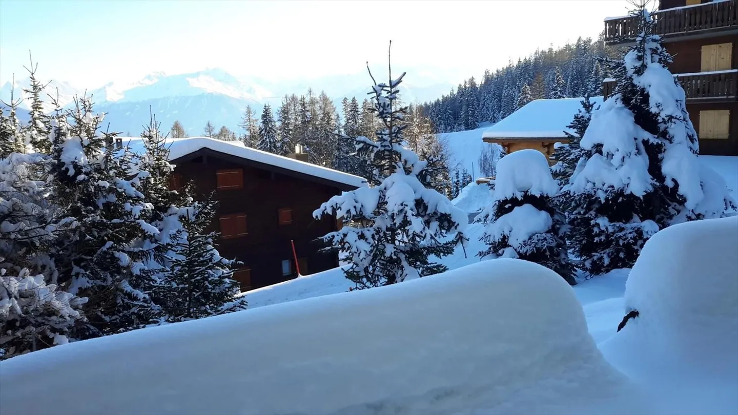 Appartement de deux pièces à Anzère - Photo 10 sur 12