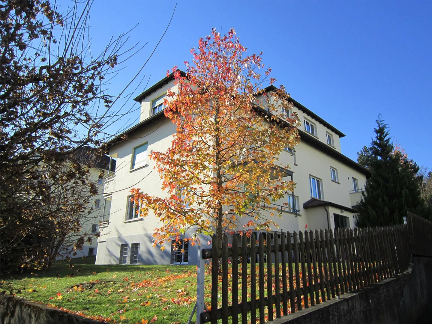 Spacious and Quiet 2.5-Room Apartment Near Public Transport - Photo 1 of 8