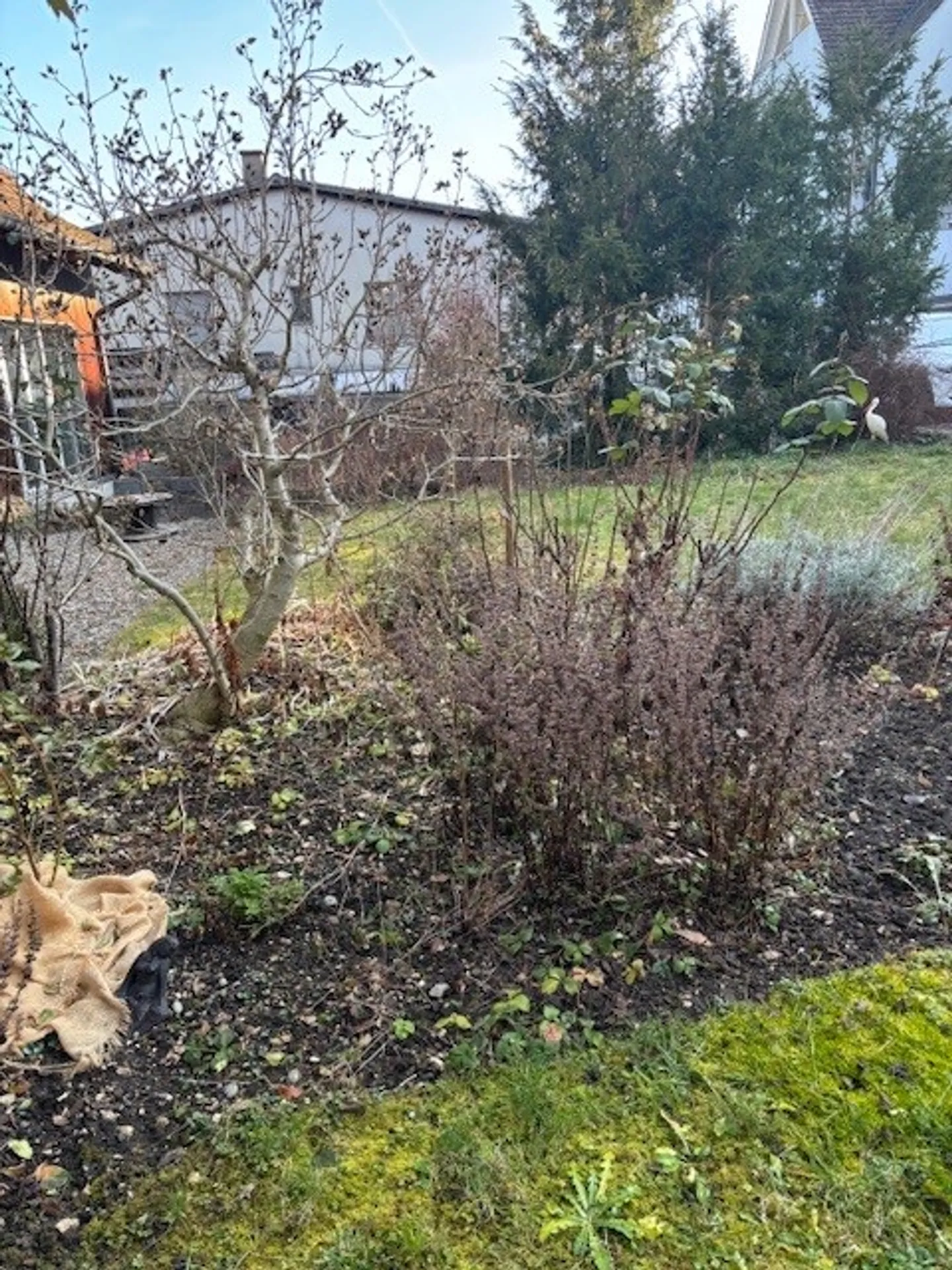 Historische 3-Zimmer-Duplex-Wohnung mit Charme in Muttenz - Foto 22 von 23