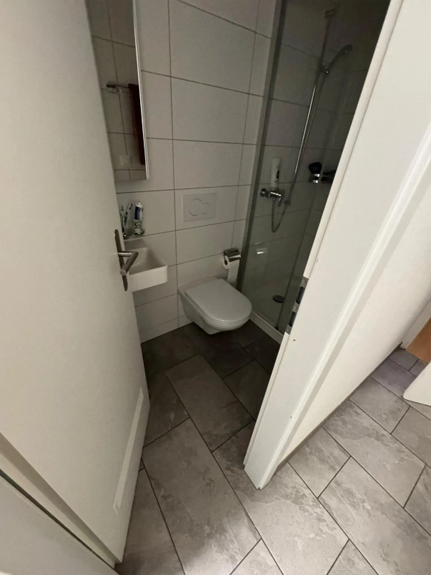 Appartamento 5,5 stanze - Foto 3 di 11