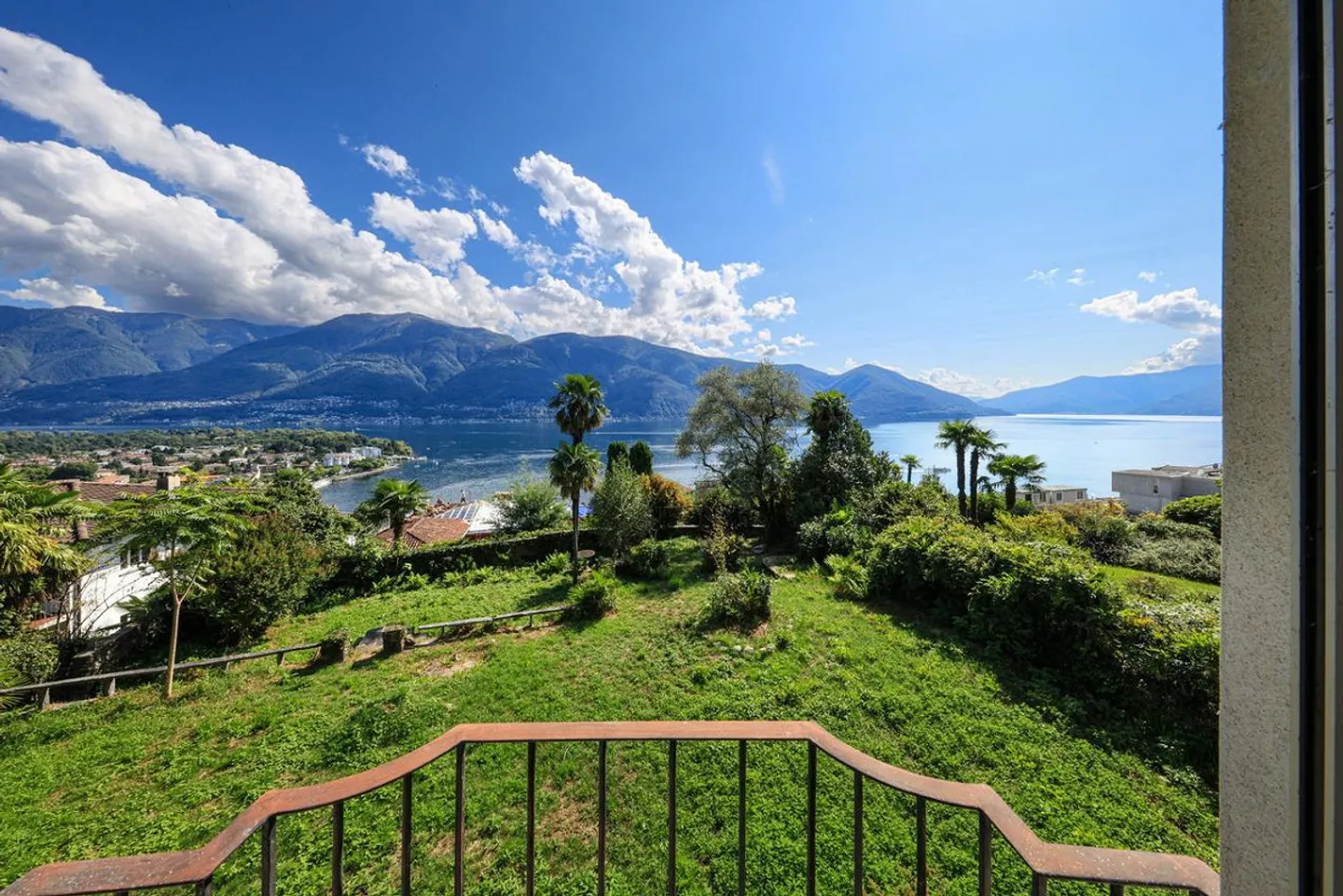 Elite - Photo 2 of 9