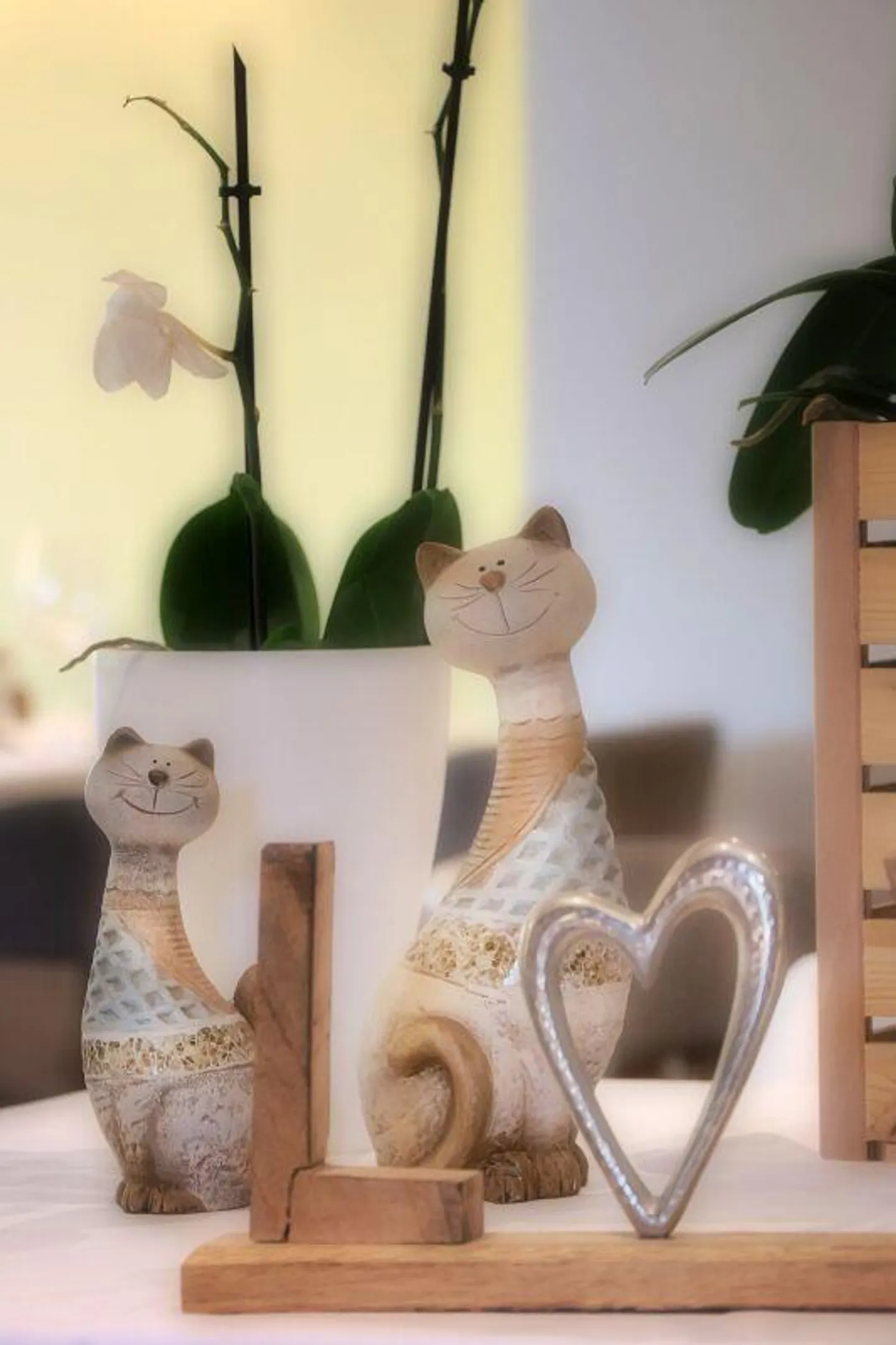 Incantevole Hotel & Ristorante nel Locarnese – Un'Oasi di Charme e Natura - Foto 14 di 24