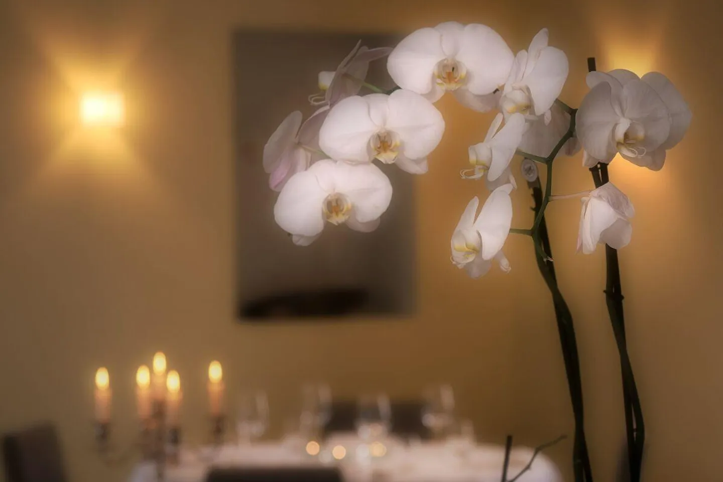 Incantevole Hotel & Ristorante nel Locarnese – Un'Oasi di Charme e Natura - Foto 17 di 24