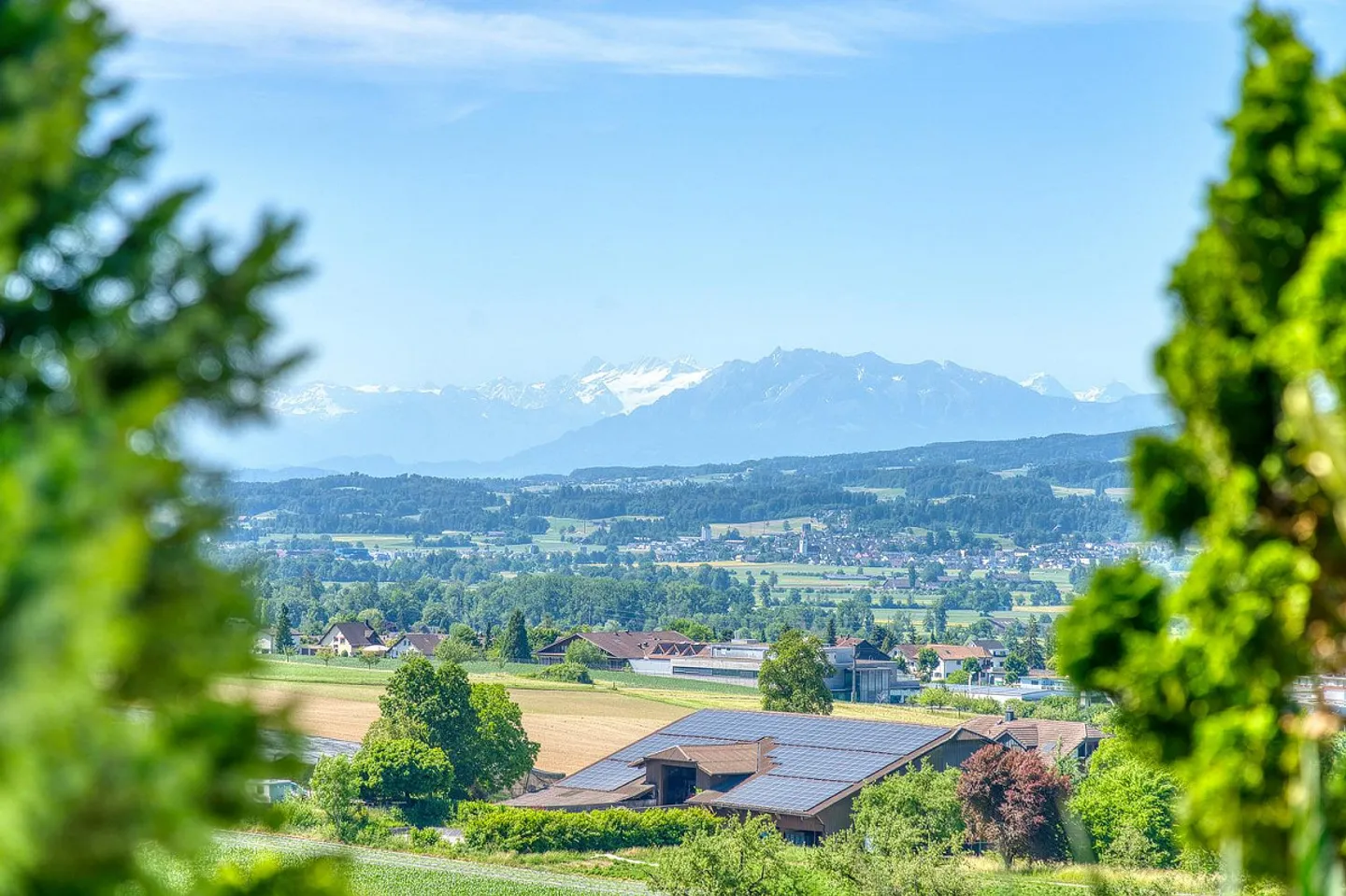 Geräumige Terrassenwohnung mit Aussicht - Foto 1 von 14