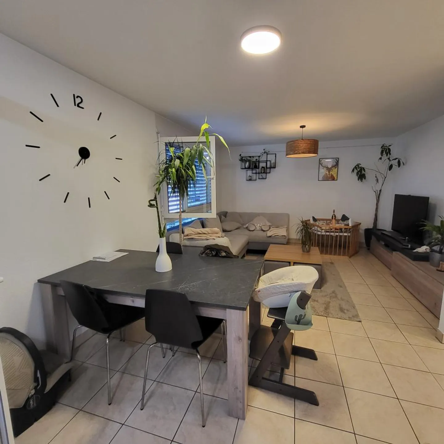 FULLY 3.5 rooms with large terrace - Photo 2 of 9