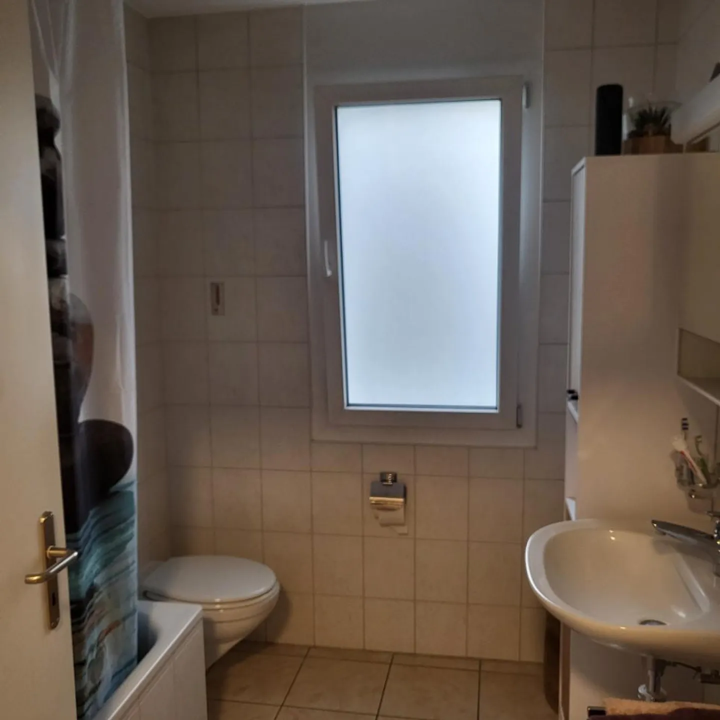 FULLY 3.5 rooms with large terrace - Photo 7 of 9