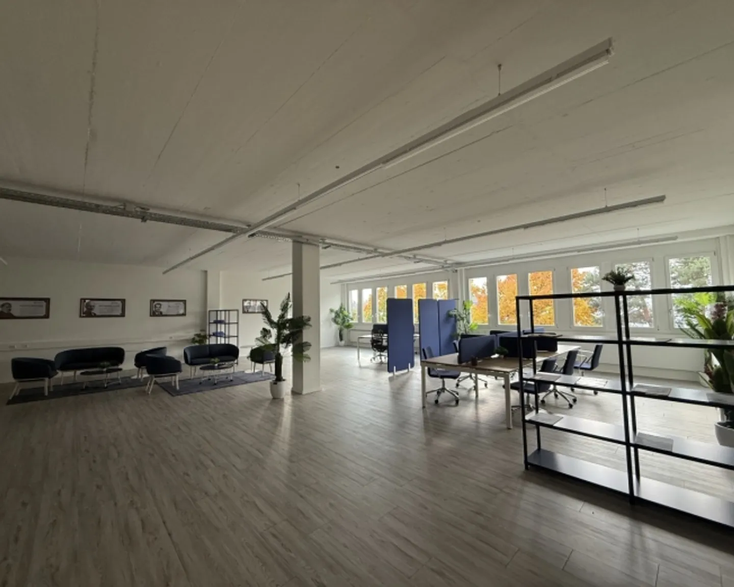 878 m² finished offices with exhibition and access to the goods lift expandable divisible into 390 m² + 488 m² - Photo 5 of 7