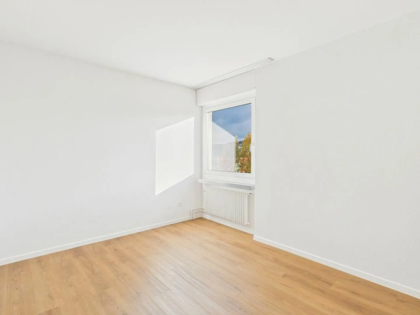 High up in Wil! - Photo 11 of 14