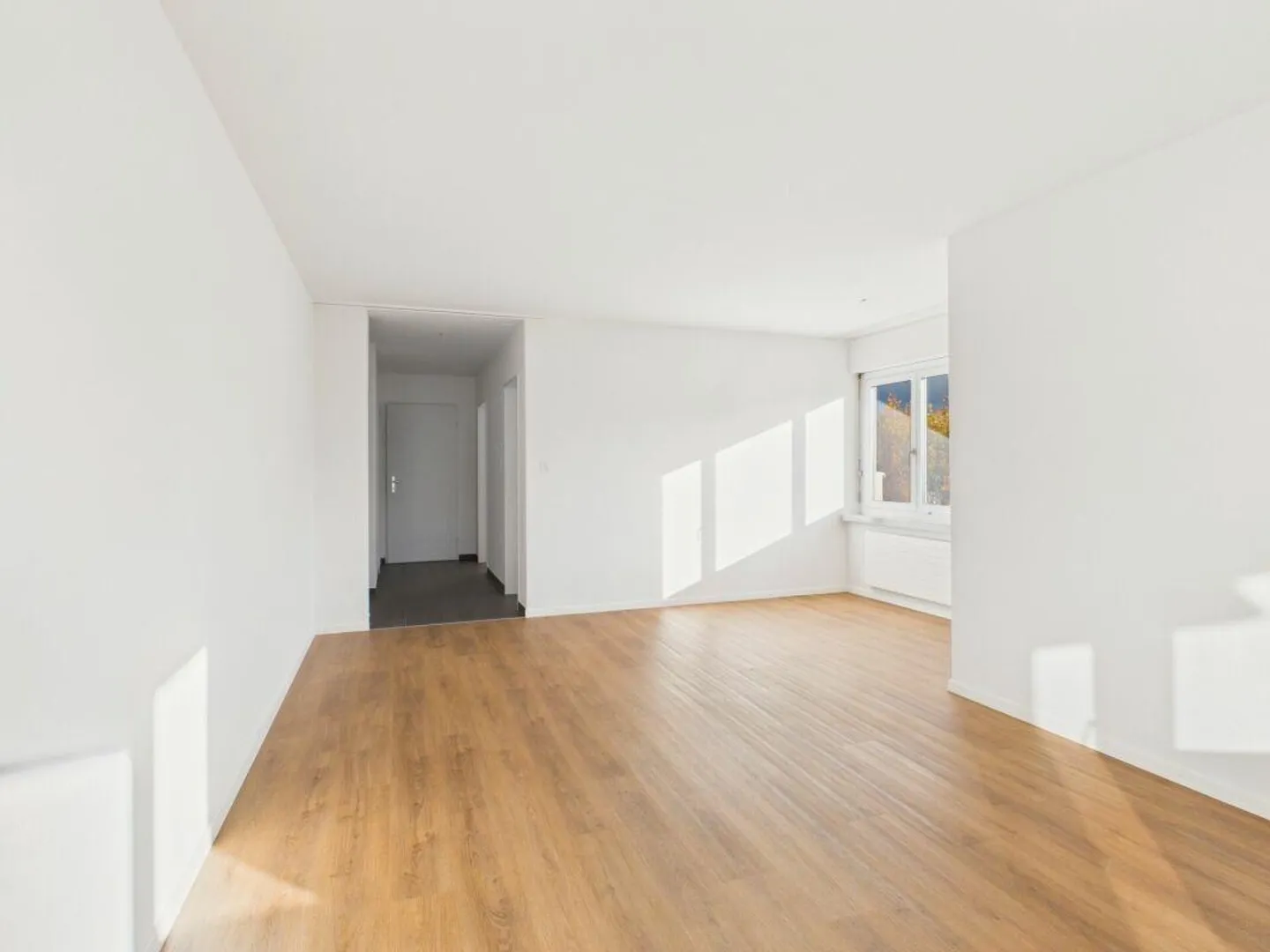 High up in Wil! - Photo 5 of 14