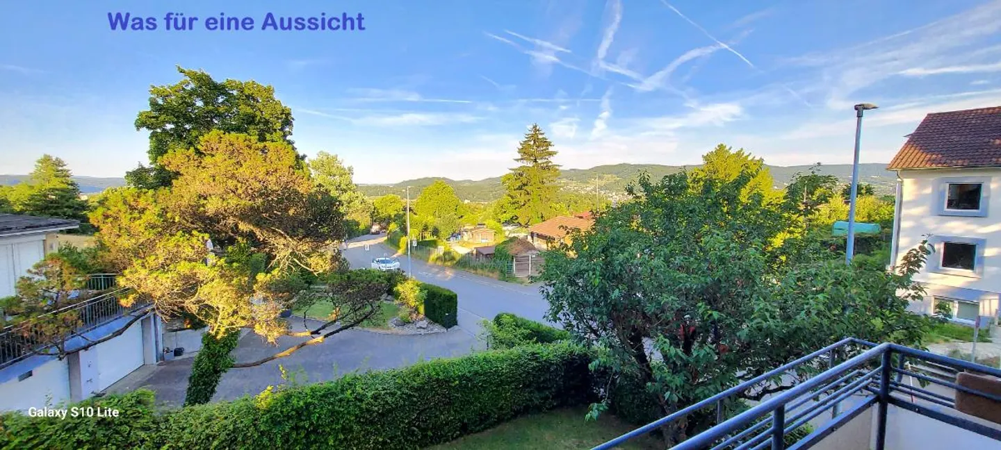 11 Room Single Family House - Photo 5 of 5