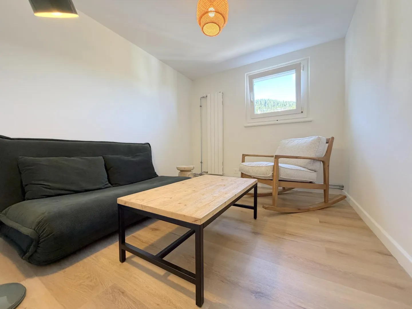 Appartamento arredato 3.5 locali - Foto 6 di 11