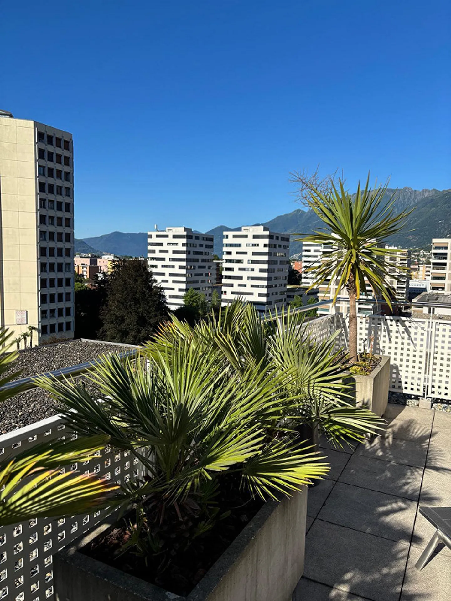 Penthouse con Terrazza - Foto 3 di 12