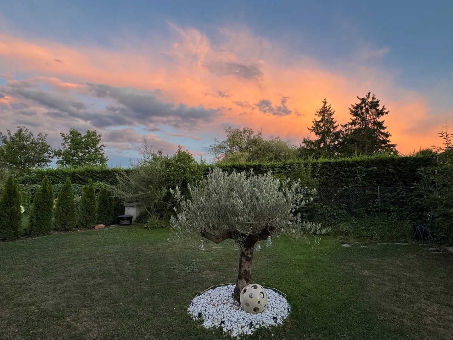 Wohnung kaufen - Foto 1 von 1