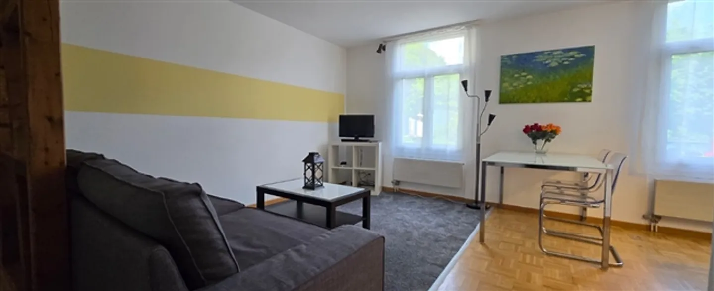 Apartment for rent in St. Gallen, Switzerland - Photo 3 of 12