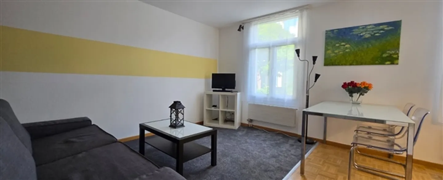 Apartment for rent in St. Gallen, Switzerland - Photo 4 of 12