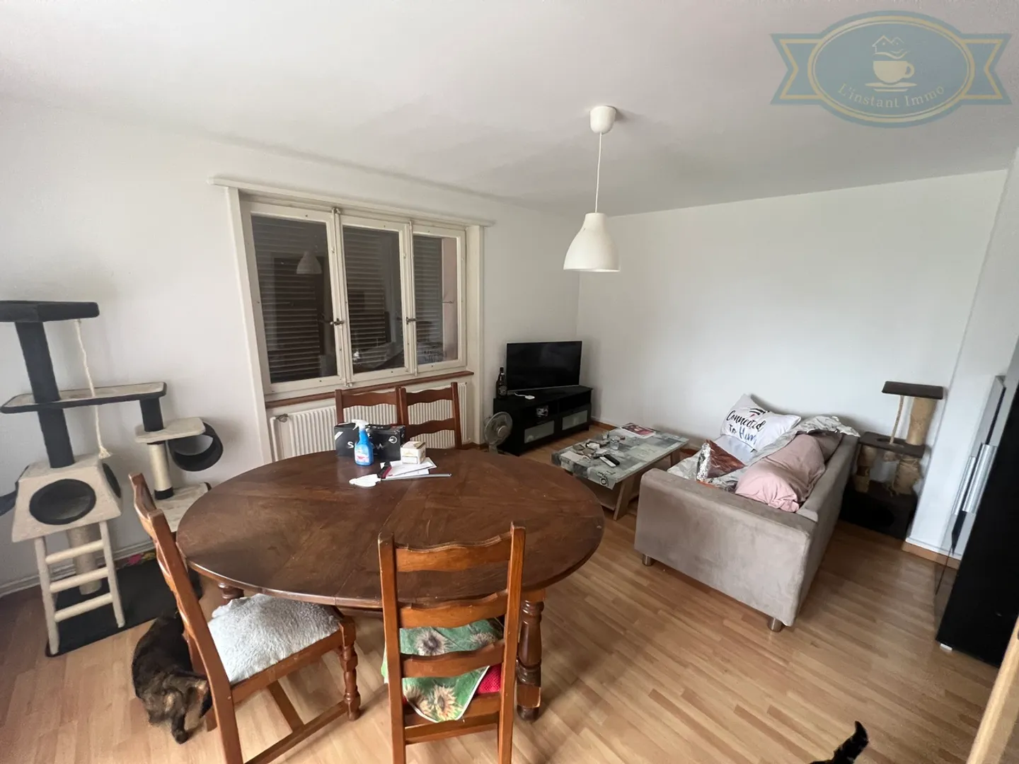 Ertragsgebäude mit 3 Wohnungen und einer Grünfläche von 1.400 m2 - Foto 8 von 13
