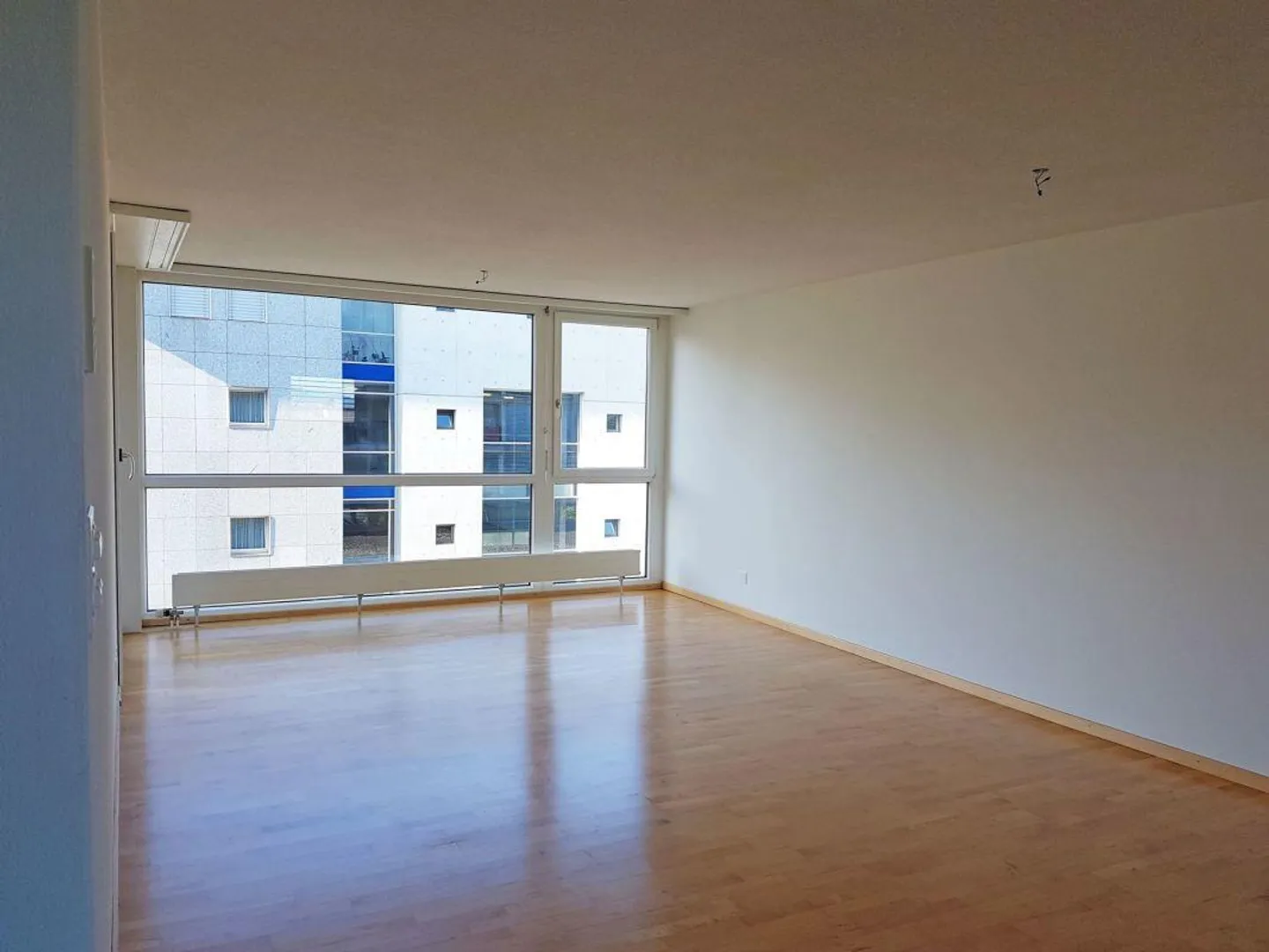 Stylish Senior Apartment in the Heart of Diepoldsau - Photo 4 of 5