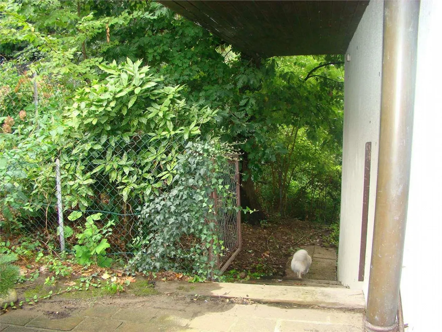 Morbio Inferiore Villa di carattere con ampia vista panoramica immersa - Foto 6 di 13