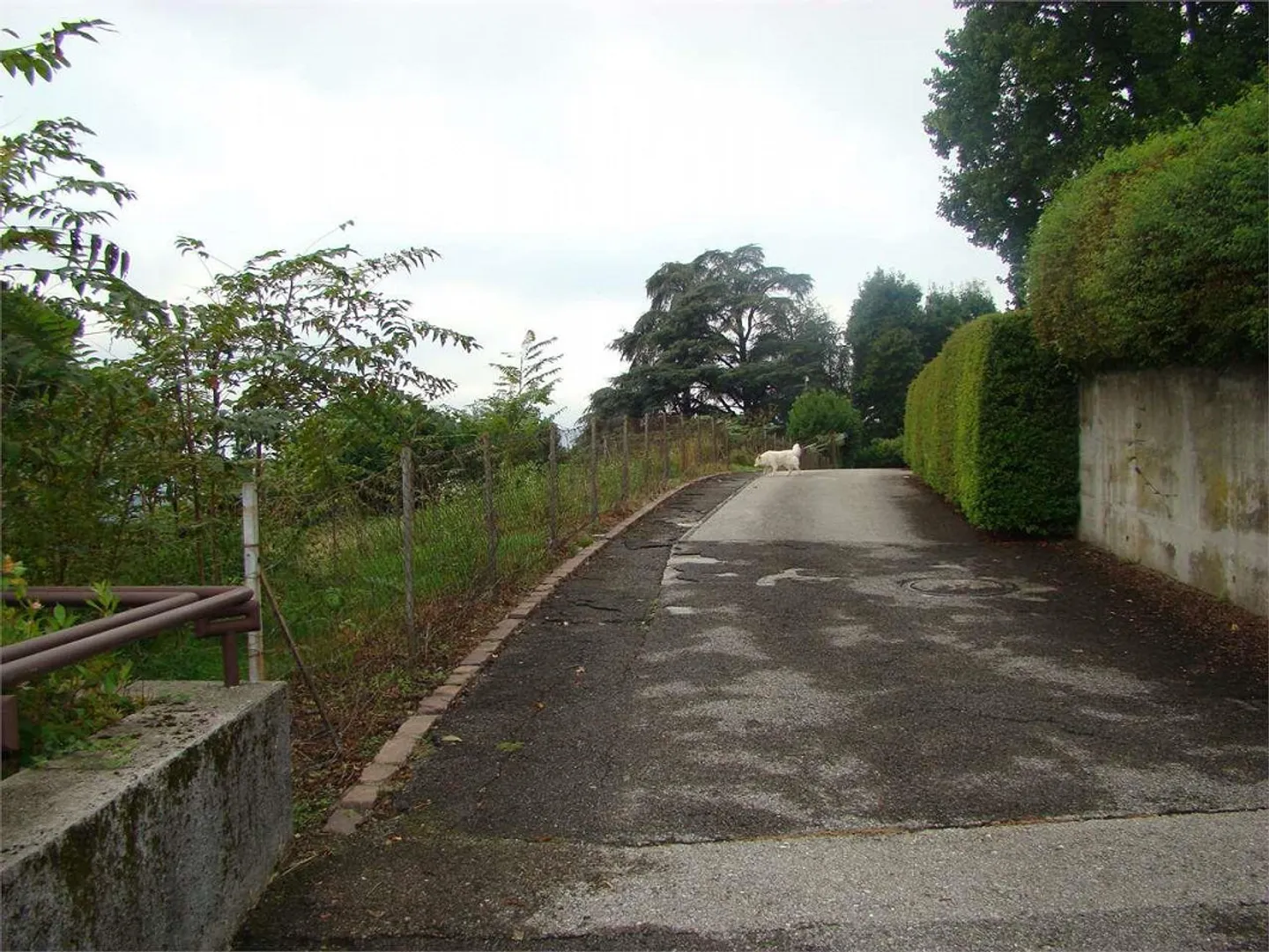 Morbio Inferiore Villa di carattere con ampia vista panoramica immersa - Foto 4 di 13