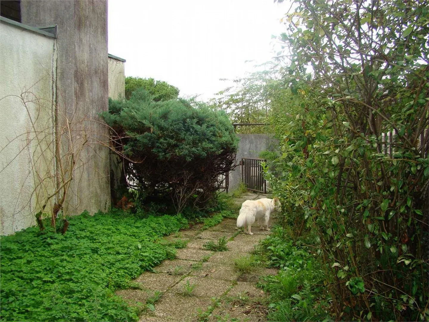 Morbio Inferiore Villa di carattere con ampia vista panoramica immersa - Foto 9 di 13