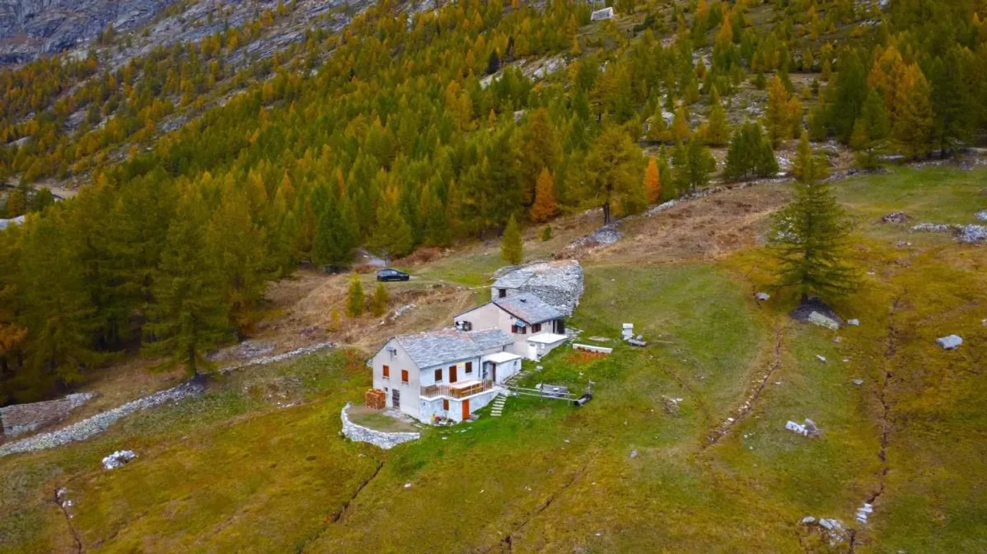 Chalet alpin entouré de forêt de mélèzes dans la région du Simplon - Photo 3 sur 10