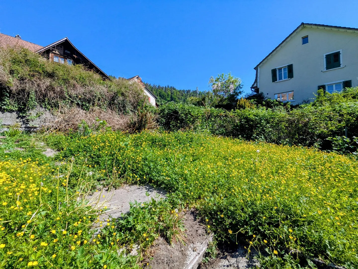 Opportunité unique ! Section de maison avec jardin - Photo 11 sur 12