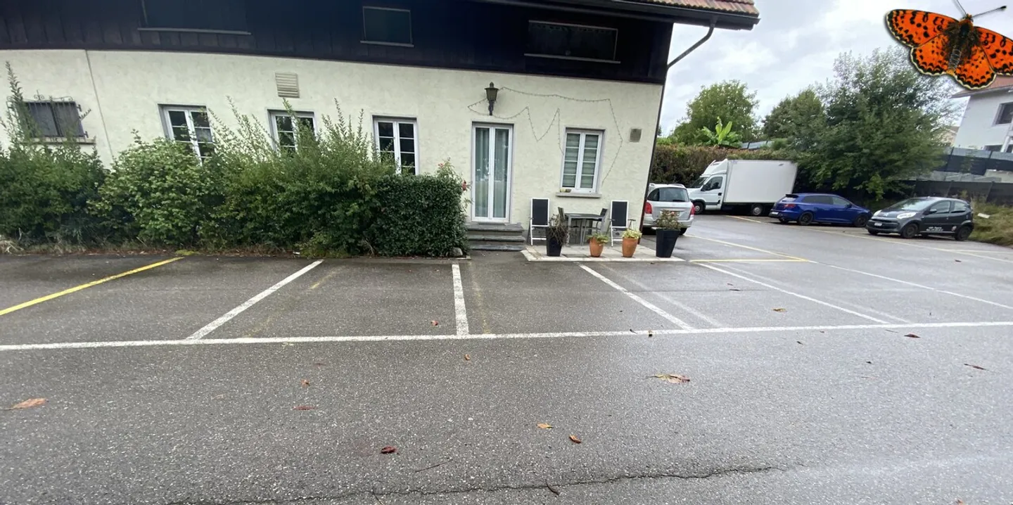 Open space - Photo 2 of 3