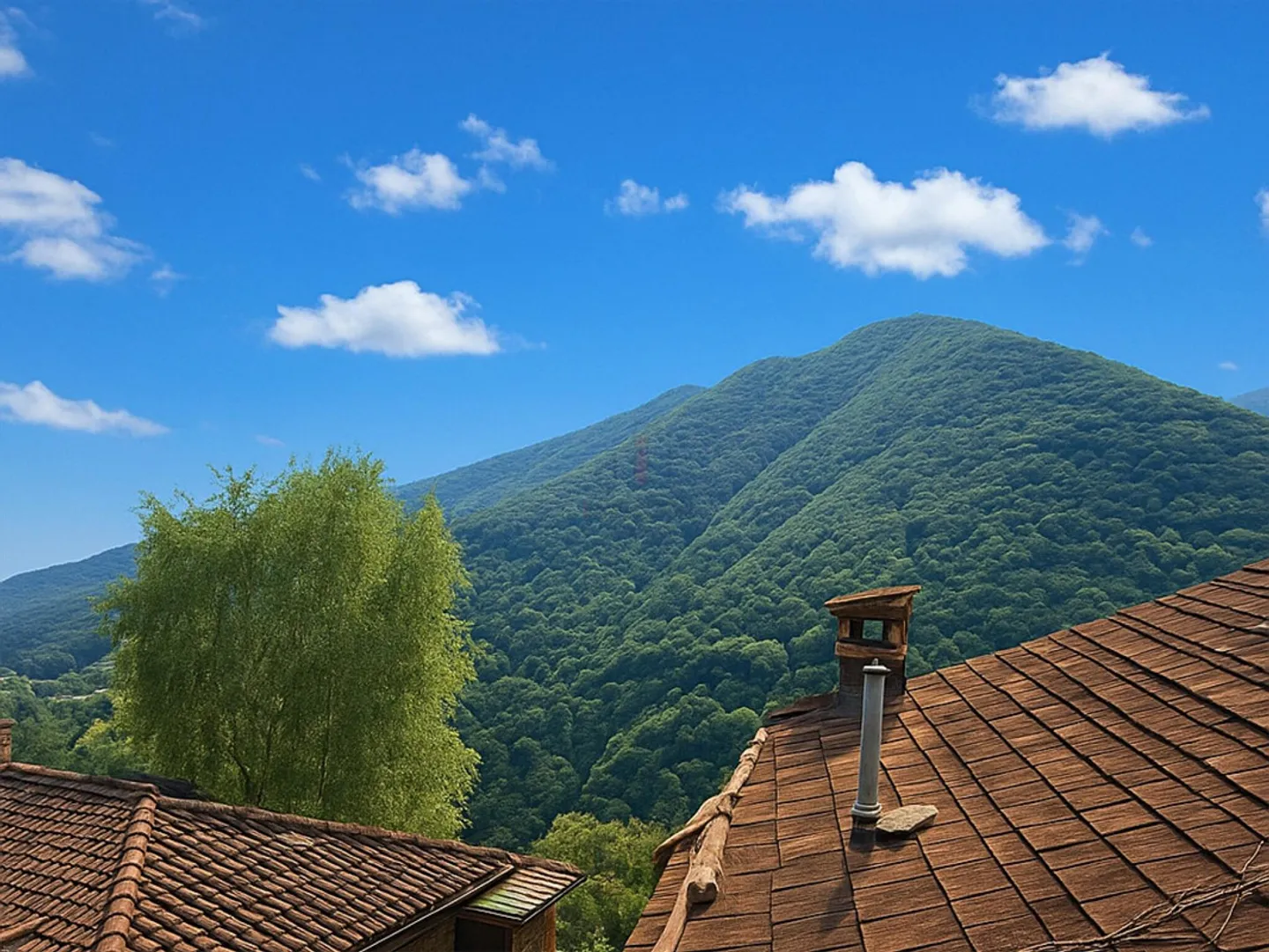 VIVRE IMMERSÉ DANS LA NATURE - Photo 1 sur 10