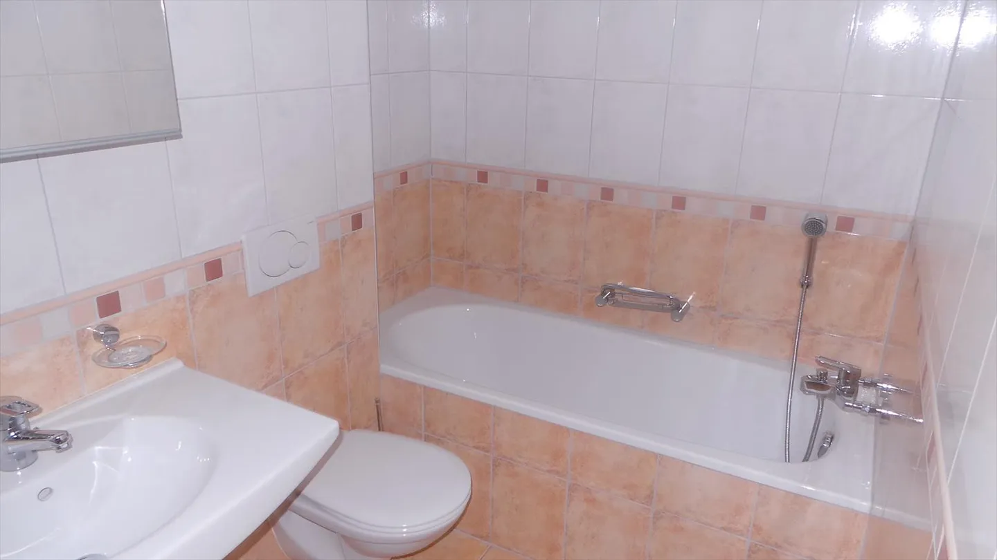 3.5 Room Apartment - Photo 7 of 12