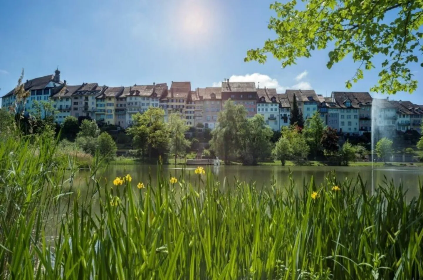 Grosszügiges Grundstück an einmaliger Lage - Foto 3 von 4