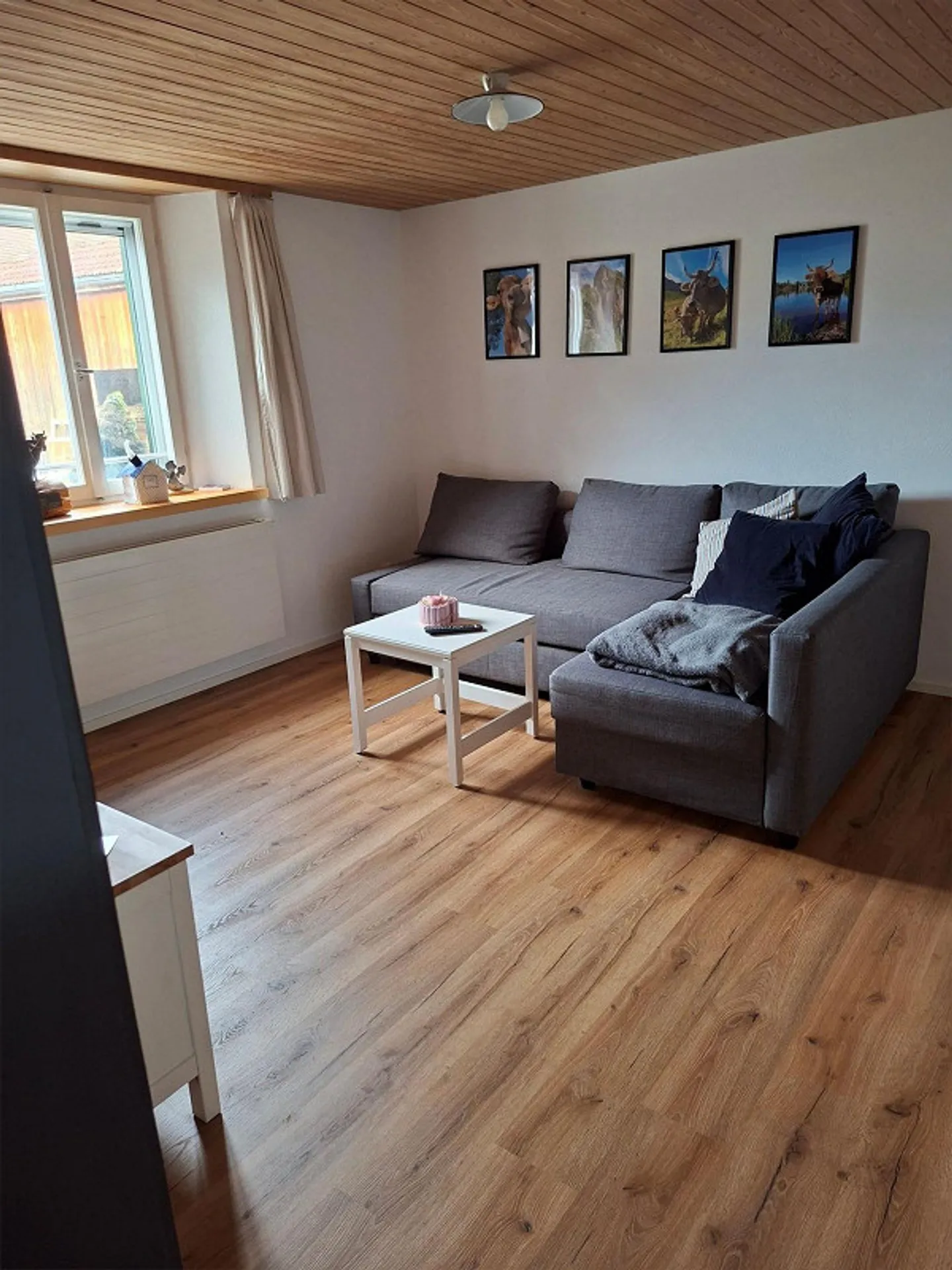 Cercasi nuovo inquilino - Foto 8 di 10