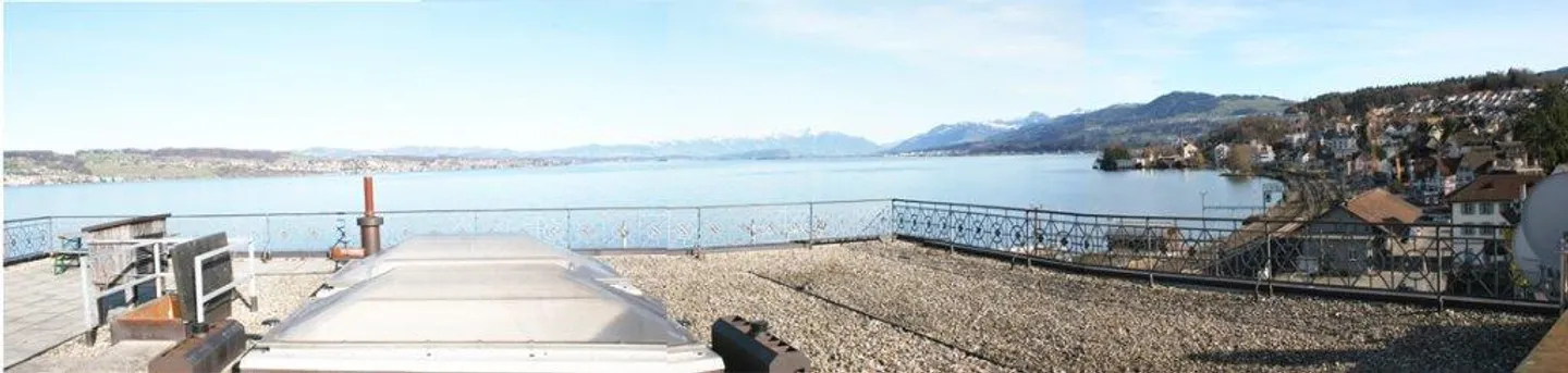 Unique living experience in a prime location in Wädenswil - Photo 2 of 12