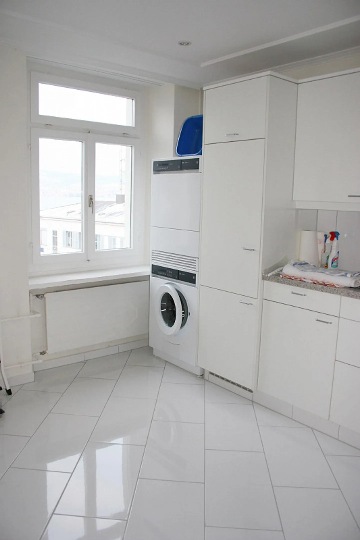 Unique living experience in a prime location in Wädenswil - Photo 11 of 12