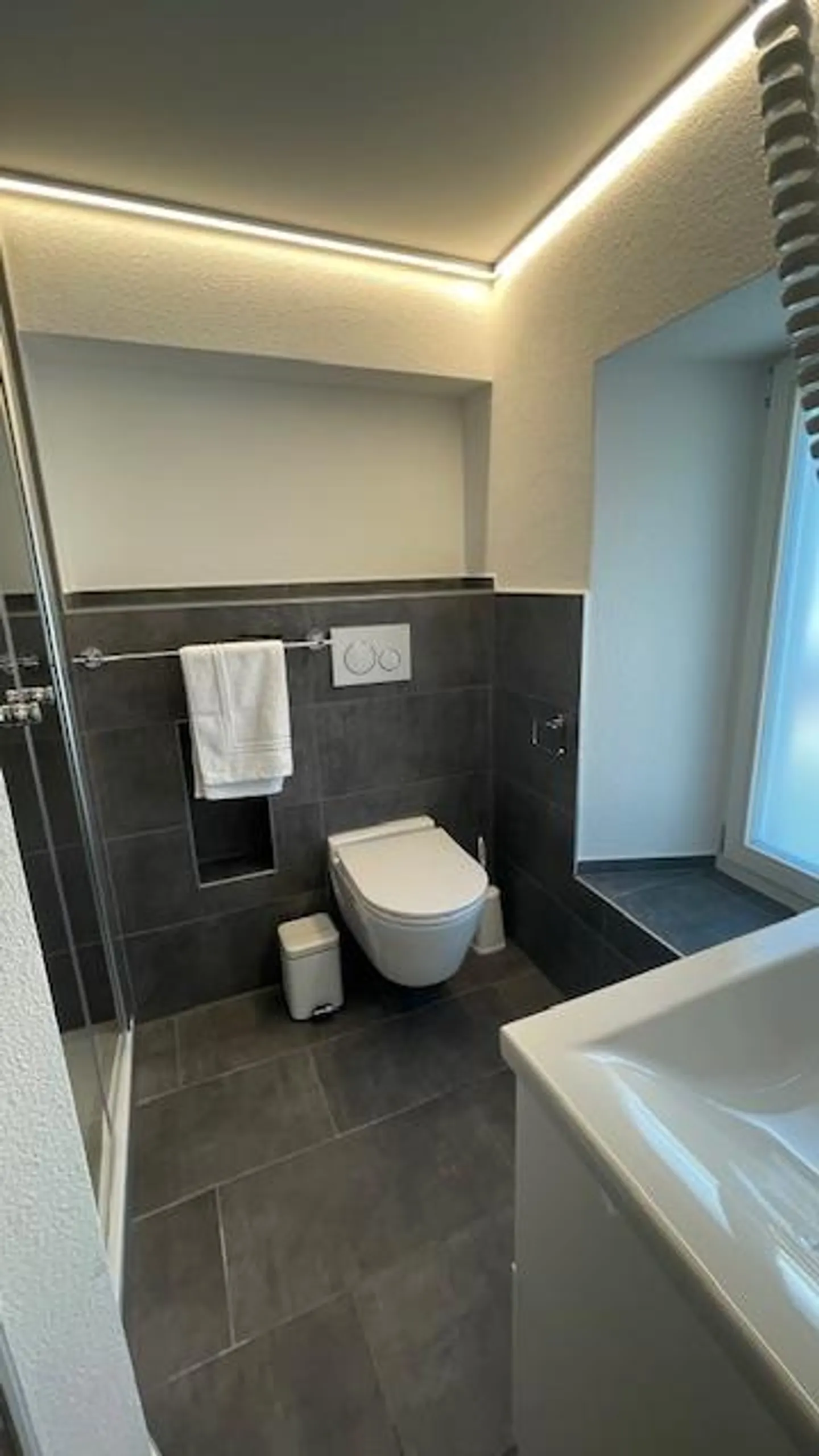 Townhouse Apartments Bad Ragaz - Photo 18 of 24
