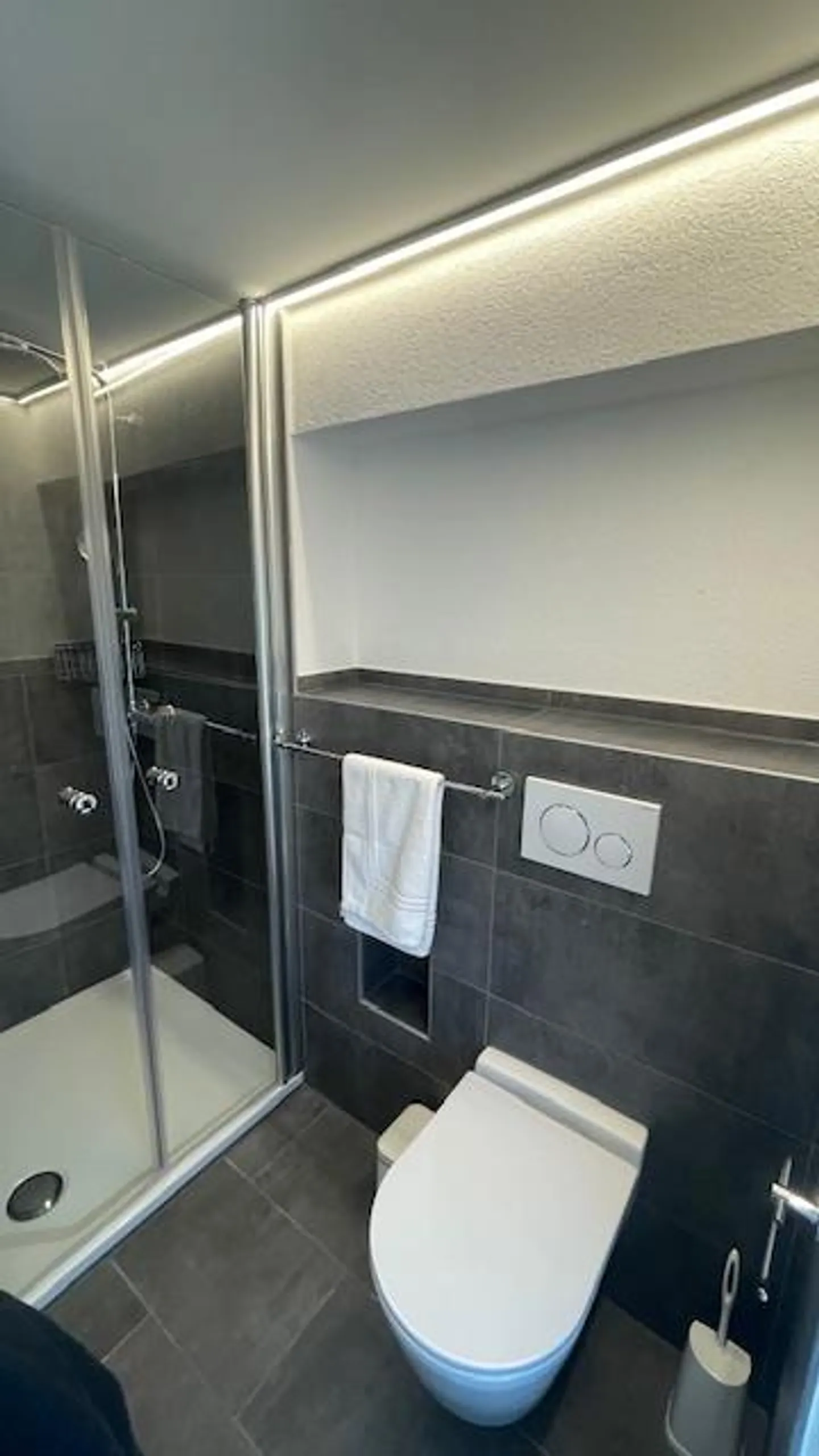 Townhouse Apartments Bad Ragaz - Photo 19 of 24